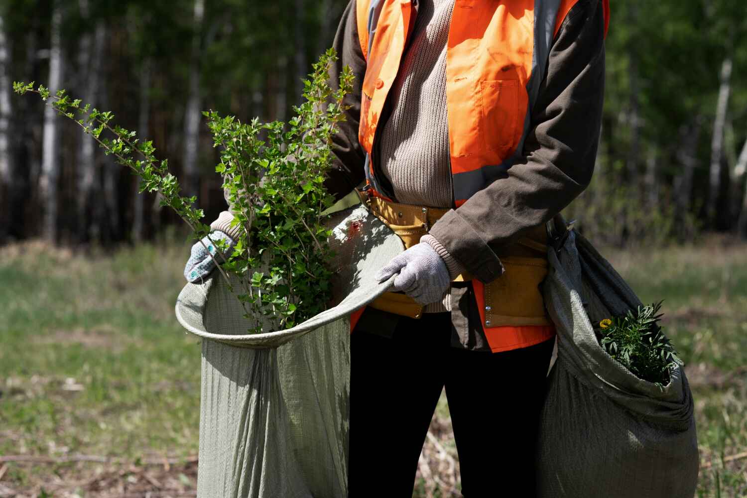 Best Arborist Services Near Me  in Soperton, GA